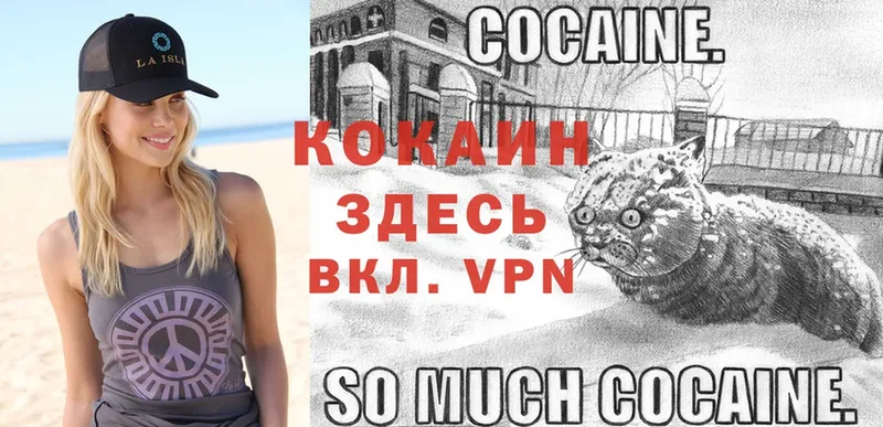 Кокаин FishScale  купить наркотики цена  Майский 